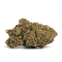 Maui Wowie cannabis strain
