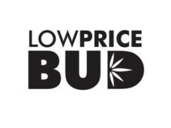 low price bud