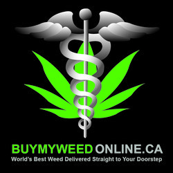buy my weed online