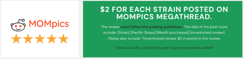 pacific grass review