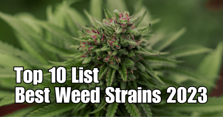 top 10 best weed strains 2023